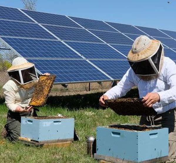 Solar Battery Storage image